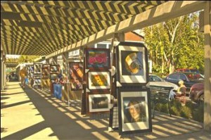 Dana Point Fine Arts Association